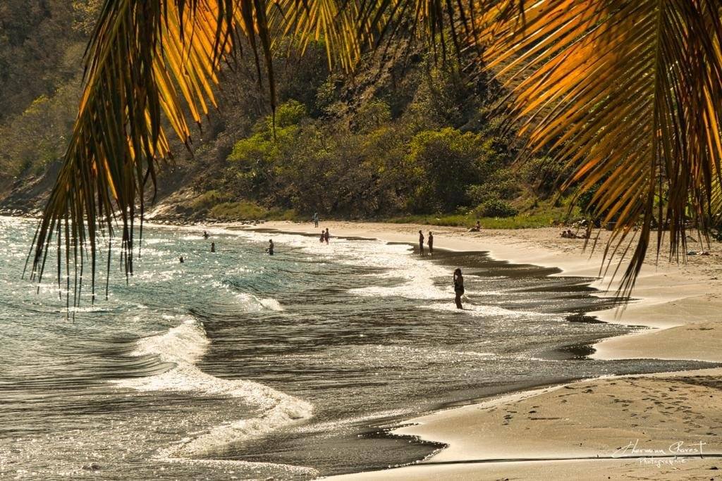 PLAGE DE PETITE ANSE ANSES D ARLET MARTINIQUE location villa marine blue